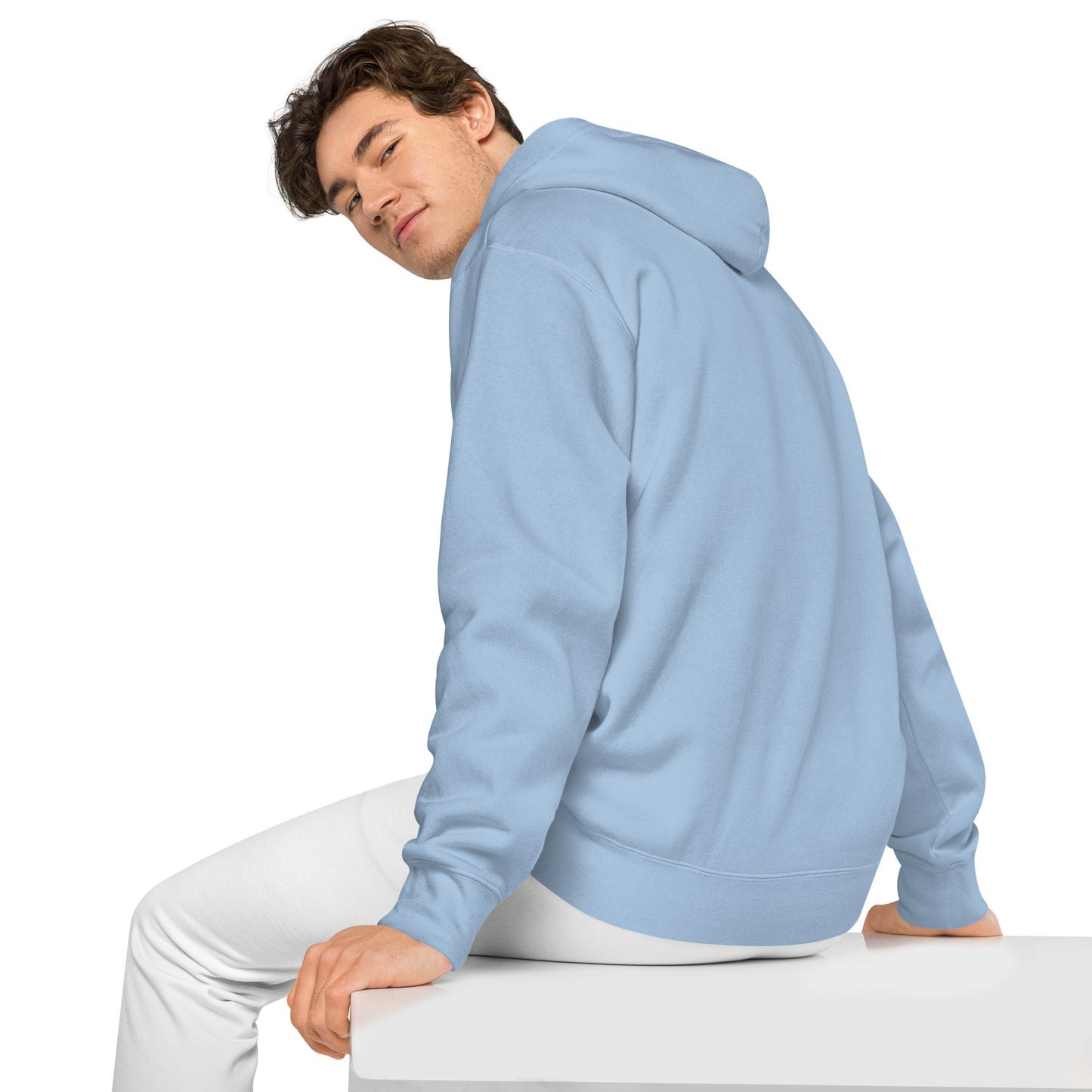 Santa Duck Weathered Hoodie